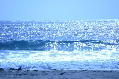 DSC_4996 (Large).JPG